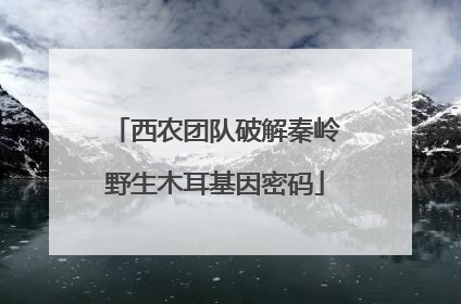 西农团队破解秦岭野生木耳基因密码