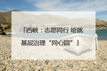 西峡：志愿同行 绘就基层治理“同心圆”