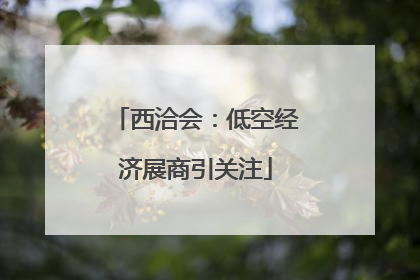 西洽会：低空经济展商引关注