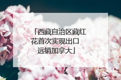 西藏自治区藏红花首次实现出口 远销加拿大