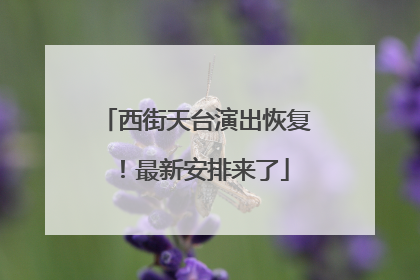 西街天台演出恢复！最新安排来了