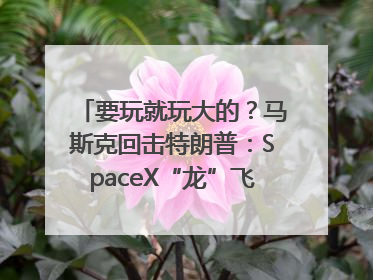 要玩就玩大的？马斯克回击特朗普：SpaceX“龙”飞船将立即退役！