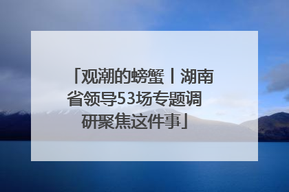 观潮的螃蟹丨湖南省领导53场专题调研聚焦这件事