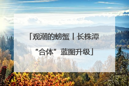 观潮的螃蟹丨长株潭“合体”蓝图升级