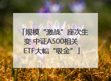 规模“激战”座次生变 中证A500相关ETF大幅“吸金”