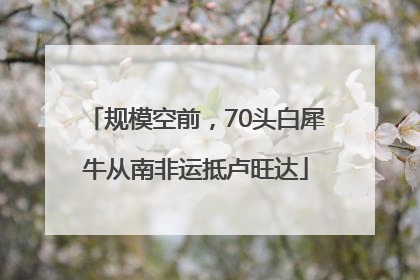规模空前，70头白犀牛从南非运抵卢旺达
