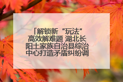 解锁新“玩法” 高效解难题 湖北长阳土家族自治县综治中心打造矛盾纠纷调处“终点站”