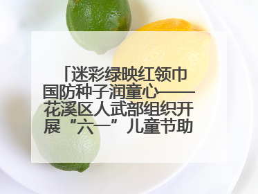 迷彩绿映红领巾 国防种子润童心——花溪区人武部组织开展“六一”儿童节助学兴教活动
