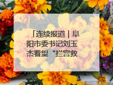 连续报道｜阜阳市委书记刘玉杰看望“拦窨救人”英勇团队