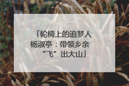 轮椅上的追梦人杨淑亭：带领乡亲“飞”出大山