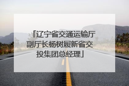 辽宁省交通运输厅副厅长杨树履新省交投集团总经理