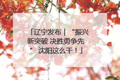 辽宁发布｜“振兴新突破 决胜勇争先” 沈阳这么干！
