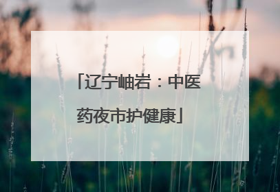 辽宁岫岩：中医药夜市护健康