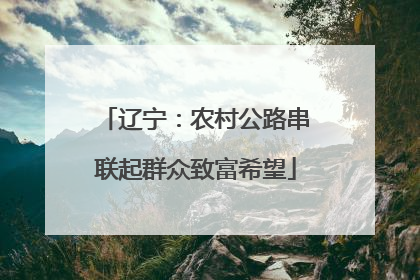 辽宁：农村公路串联起群众致富希望