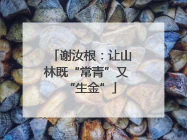 谢汝根：让山林既“常青”又“生金”