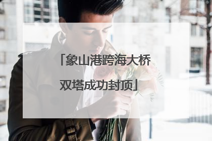 象山港跨海大桥双塔成功封顶