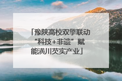 豫陕高校双擎联动 “科技+非遗”赋能潢川芡实产业