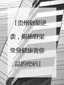 贵州刺梨逆袭，揭秘野果变身健康奢侈品的密码