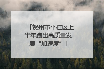 贺州市平桂区上半年跑出高质量发展“加速度”