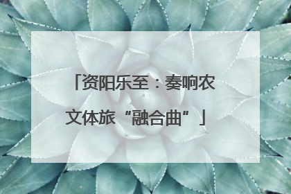 资阳乐至：奏响农文体旅“融合曲”