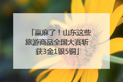 赢麻了！山东这些旅游商品全国大赛斩获3金1银5铜