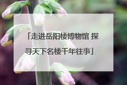 走进岳阳楼博物馆 探寻天下名楼千年往事