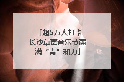 超5万人打卡 长沙草莓音乐节满满“青”和力