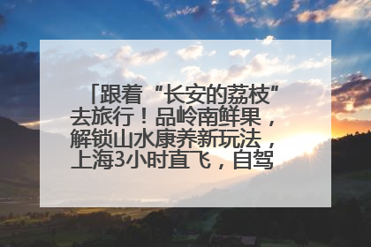 跟着“长安的荔枝”去旅行！品岭南鲜果，解锁山水康养新玩法，上海3小时直飞，自驾高速费优惠