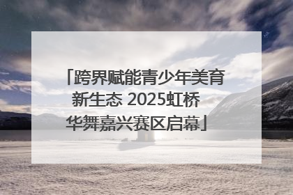 跨界赋能青少年美育新生态 2025虹桥华舞嘉兴赛区启幕
