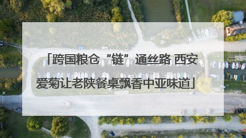 跨国粮仓“链”通丝路 西安爱菊让老陕餐桌飘香中亚味道