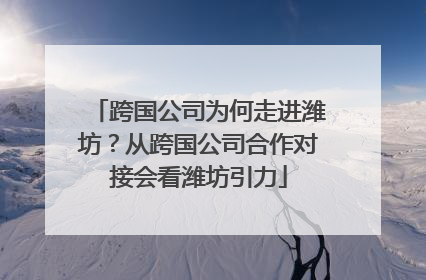 跨国公司为何走进潍坊？从跨国公司合作对接会看潍坊引力