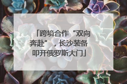 跨境合作“双向奔赴”，长沙装备叩开俄罗斯大门