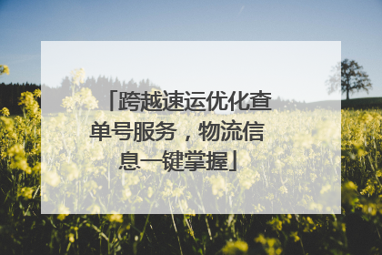 跨越速运优化查单号服务，物流信息一键掌握