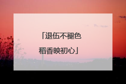 退伍不褪色 稻香映初心