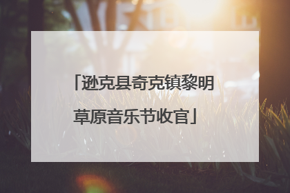 逊克县奇克镇黎明草原音乐节收官