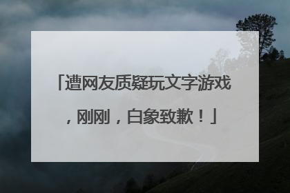 遭网友质疑玩文字游戏，刚刚，白象致歉！