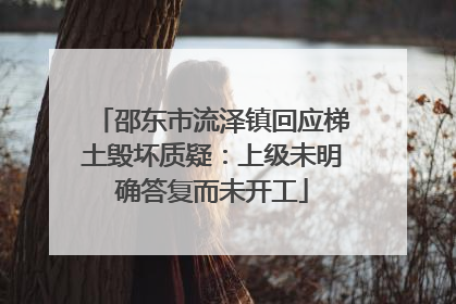 邵东市流泽镇回应梯土毁坏质疑：上级未明确答复而未开工