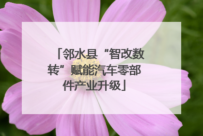 邻水县“智改数转”赋能汽车零部件产业升级