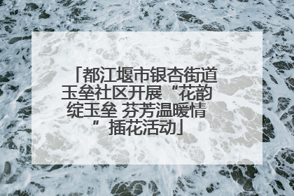都江堰市银杏街道玉垒社区开展“花韵绽玉垒 芬芳温暖情”插花活动