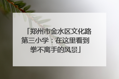 郑州市金水区文化路第三小学：在这里看到拳不离手的风景
