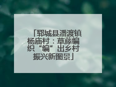郓城县潘渡镇杨庙村：草藤编织“编”出乡村振兴新图景