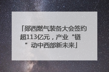 郧西燃气装备大会签约超113亿元，产业“链”动中西部新未来