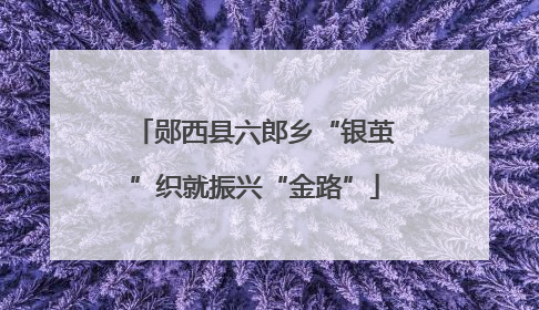 郧西县六郎乡“银茧”织就振兴“金路”