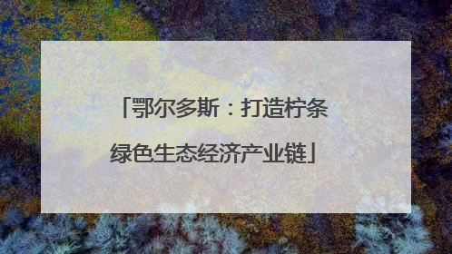 鄂尔多斯：打造柠条绿色生态经济产业链