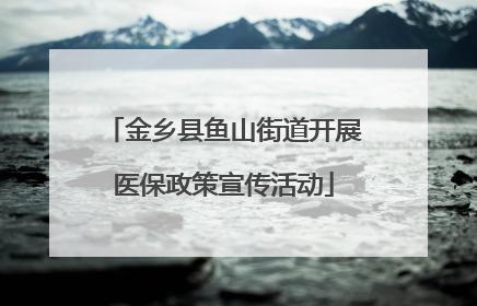 金乡县鱼山街道开展医保政策宣传活动