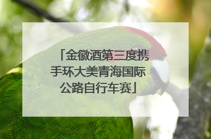 金徽酒第三度携手环大美青海国际公路自行车赛