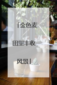 金色麦田里丰收风景