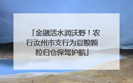 金融活水润沃野！农行汝州市支行为夏粮颗粒归仓保驾护航