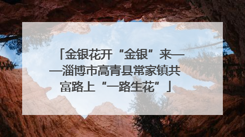金银花开“金银”来——淄博市高青县常家镇共富路上“一路生花”