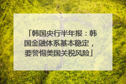 韩国央行半年报：韩国金融体系基本稳定，要警惕美国关税风险